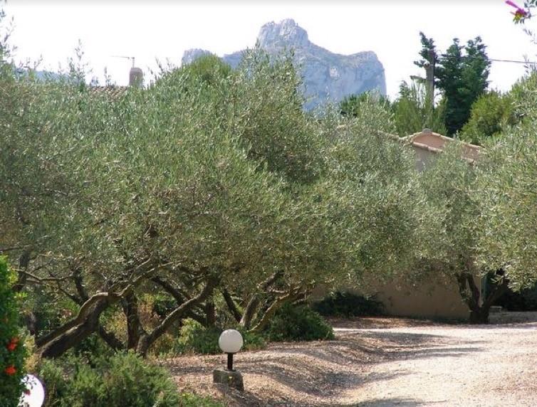 Villa Le Mazet 40 Saint-Rémy-de-Provence Exterior foto